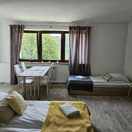 Penzion Olivia Visla