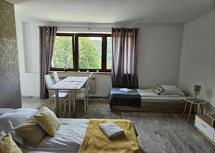 Guest house Olivia Wisla