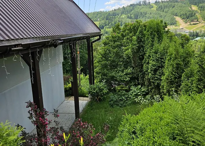 Guest house Olivia 3*