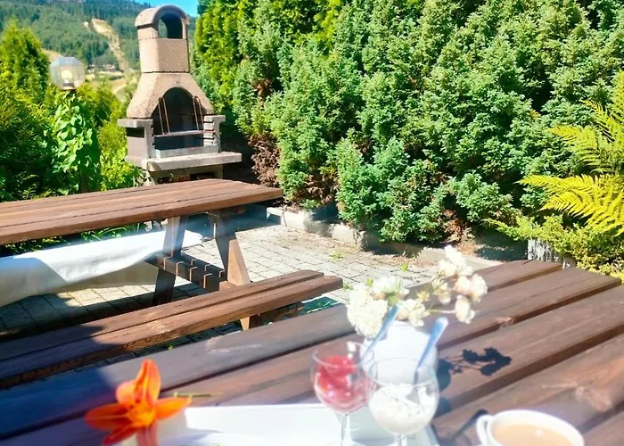 Olivia Guest house 3*